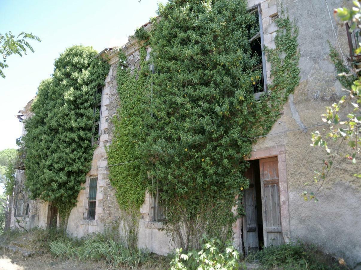 بونو B&B Armony Bono المظهر الخارجي الصورة